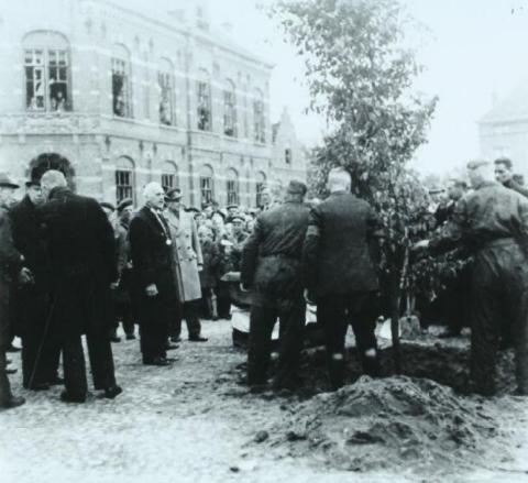 Het herbeplanten van Wilhelminaboom op het 's Gravenhof. Op de achtergrond het zwaar beschadigde Gymnasium. (E)