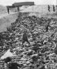 Vele Duitse burgers en soldaten werden gedwongen met hun handen de vele lijken naar een massagraf te dragen. 